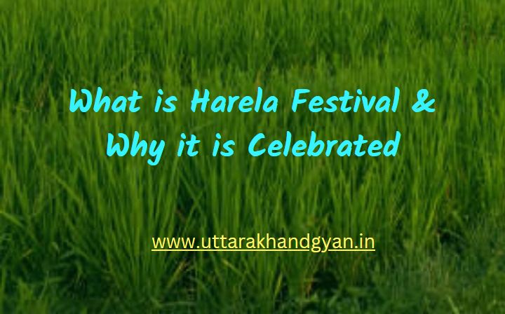 Read more about the article What is Harela Festival and Why It Is Celebrated?